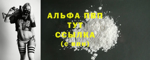 винт Горно-Алтайск