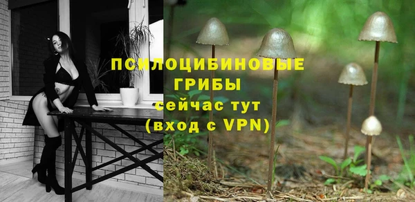 хмурый Строитель
