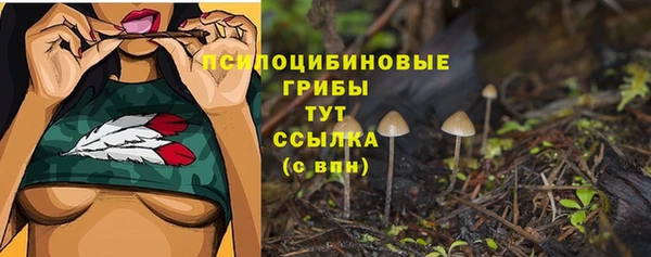винт Горно-Алтайск