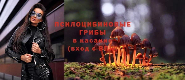 хмурый Строитель