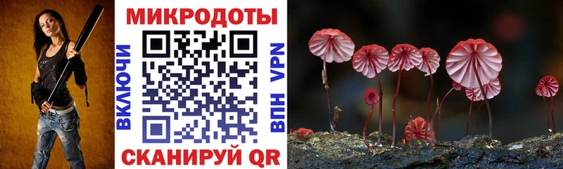 Псилоцибиновые грибы прущие грибы  Купить  Болхов 